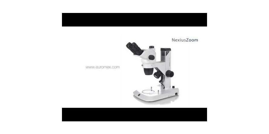 ESD Stereomikroskop NexiusZoom 1902-B, binokular, weiß